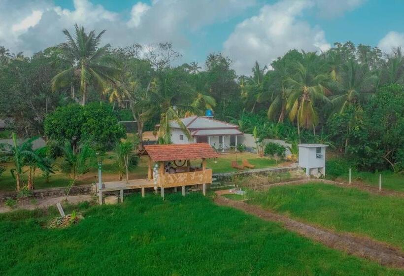 Bed and Breakfast Eagle Resort