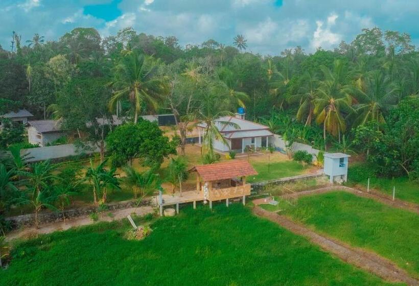 Bed and Breakfast Eagle Resort