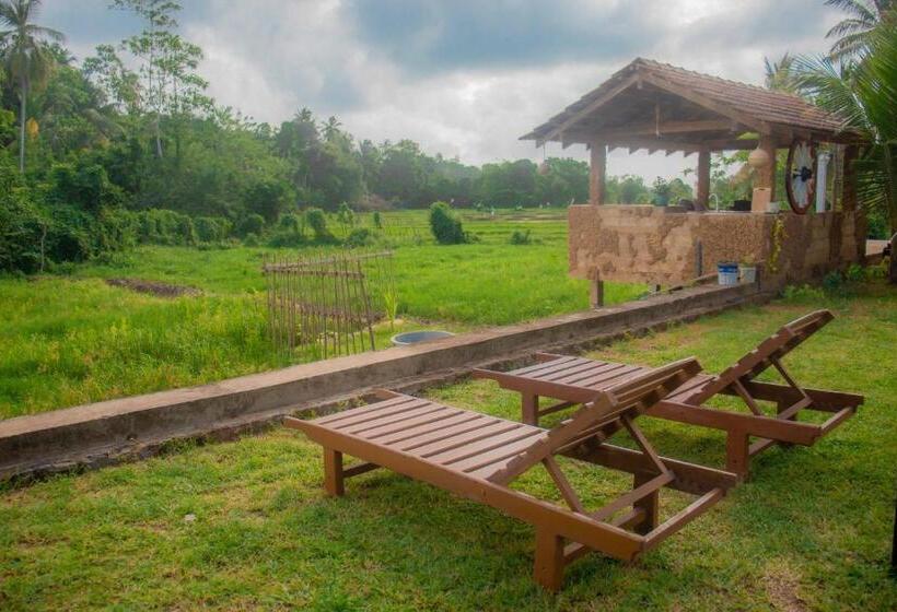 Bed and Breakfast Eagle Resort