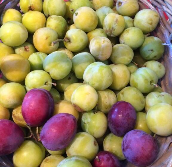 צימר Hof Van Eden