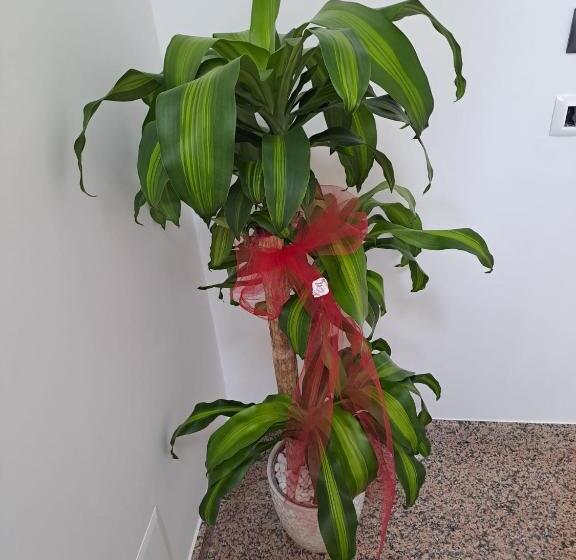 צימר Maraneri Rooms