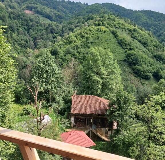 צימר Ova Suit Apart