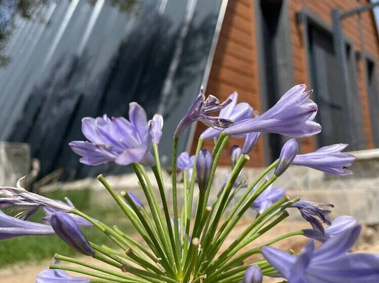 ベッドアンドブレックファースト Reset Resort Göcek