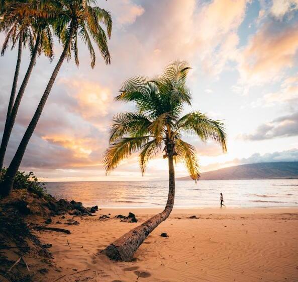 Campcar Maui Jeeps Suvs Hybrid Camper Van Rentals With Equipment And Travel Advice