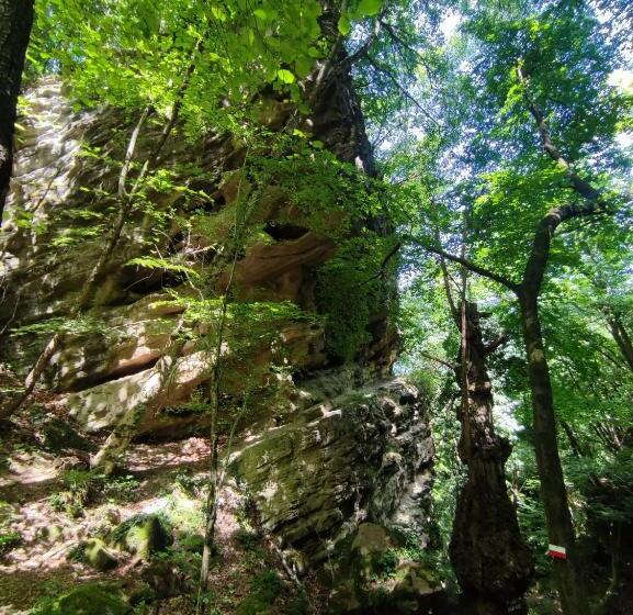 D Aiano Guest House B&b