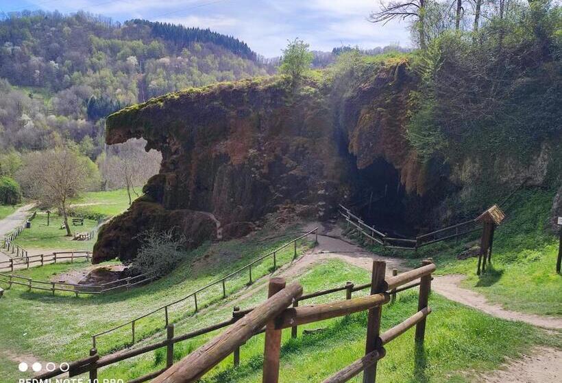 D Aiano Guest House B&b