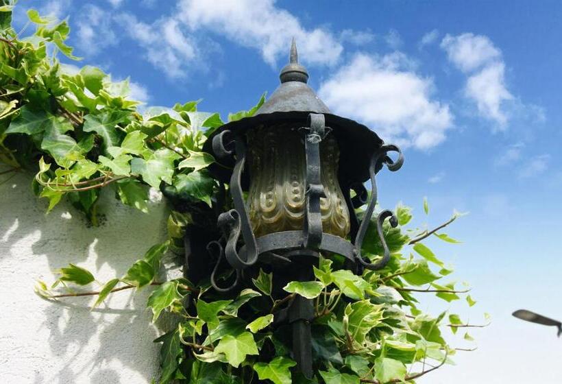 Dulcius Ex Asperis Bed & Breakfast