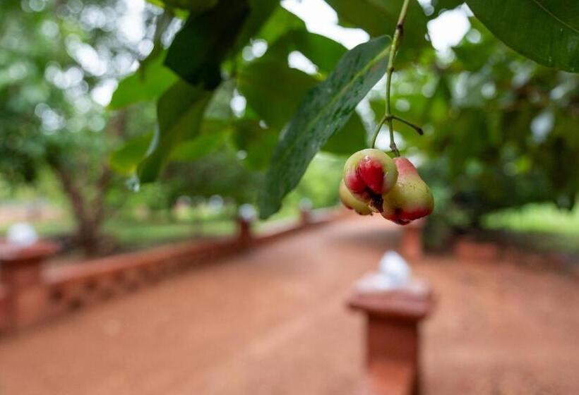 Treebo Green Village Resort   Goa