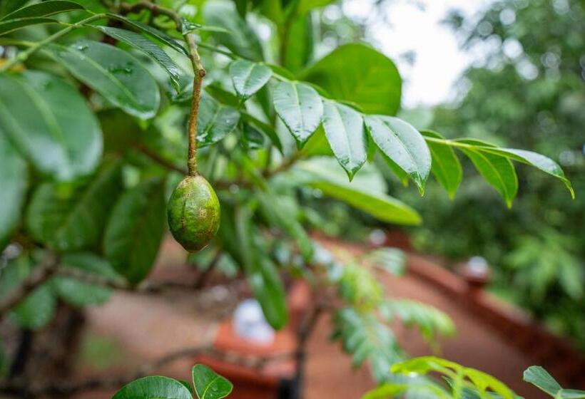 Treebo Green Village Resort   Goa