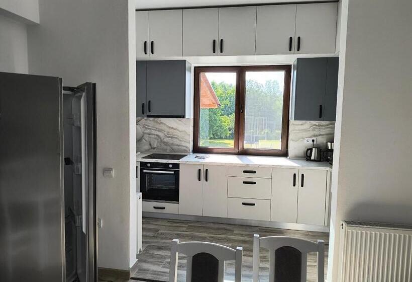 בית מלון כפרי Pensiunea Anna