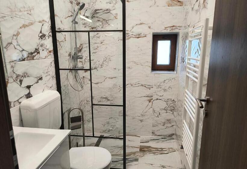 בית מלון כפרי Pensiunea Anna