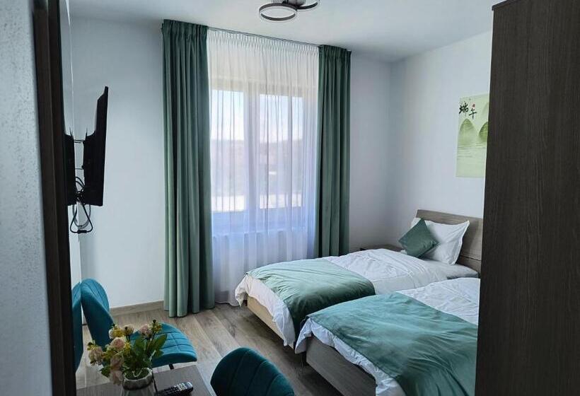 בית מלון כפרי Pensiunea Anna