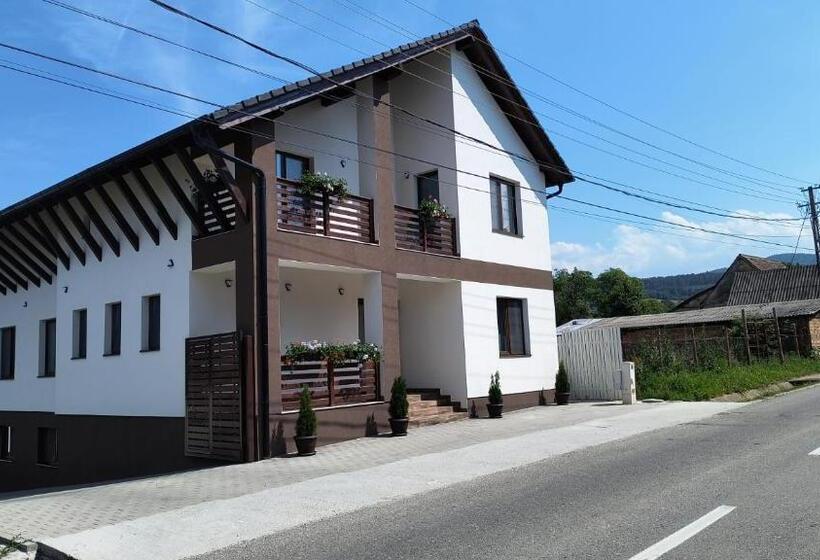 בית מלון כפרי Pensiunea Anna