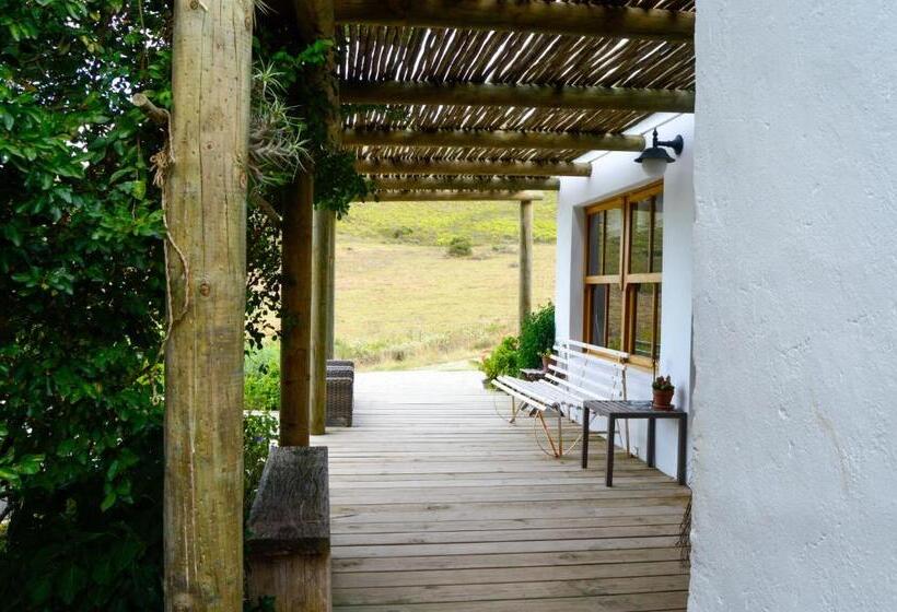 فندق Allie S Mountain Cottage