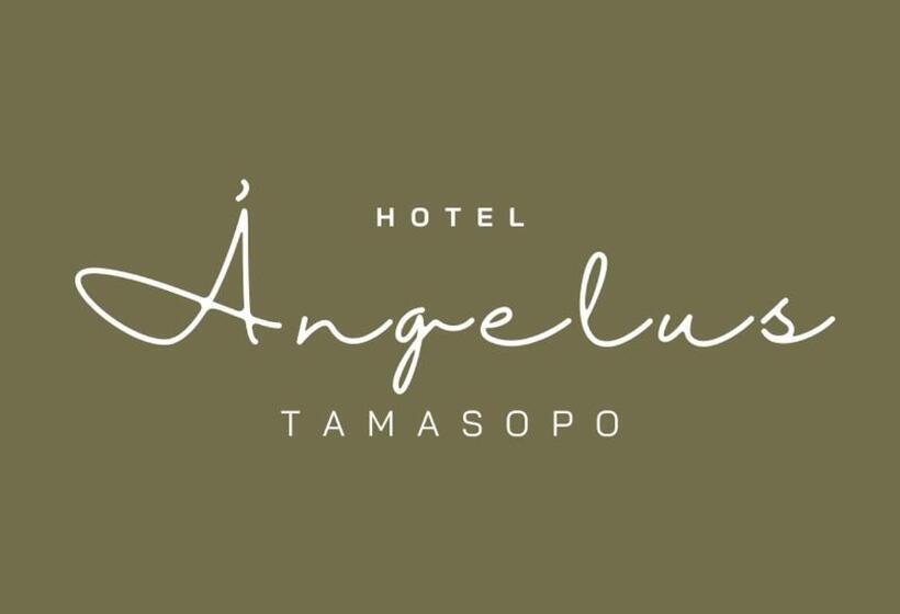 胶囊酒店 ángelus   Boutique