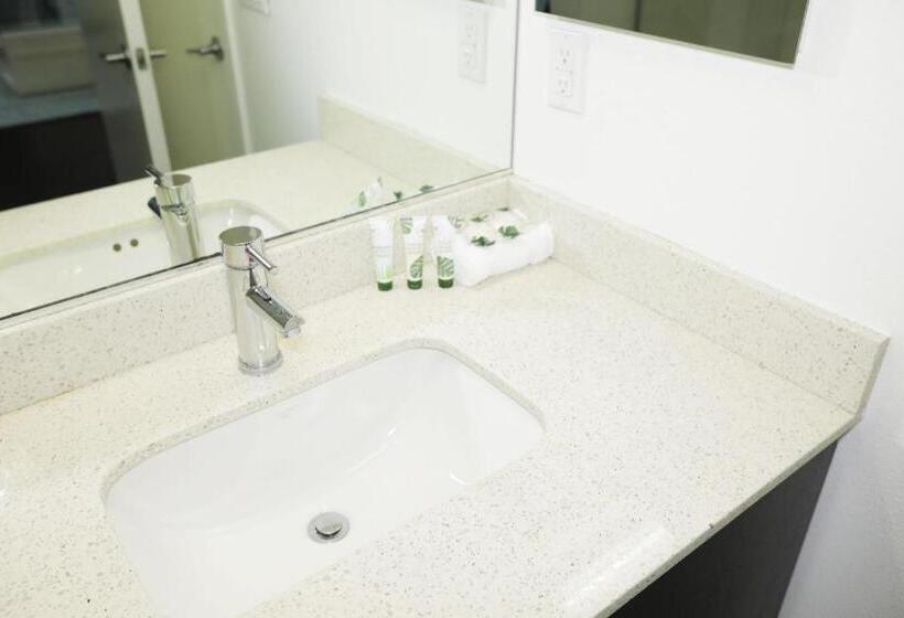 فندق Downtown Cosmopolitan Residences