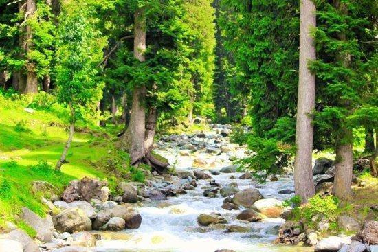 فندق Green Gallery And Restaurant