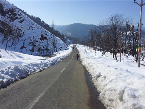 فندق Green Gallery And Restaurant