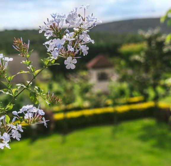 ホテル Parma Sole