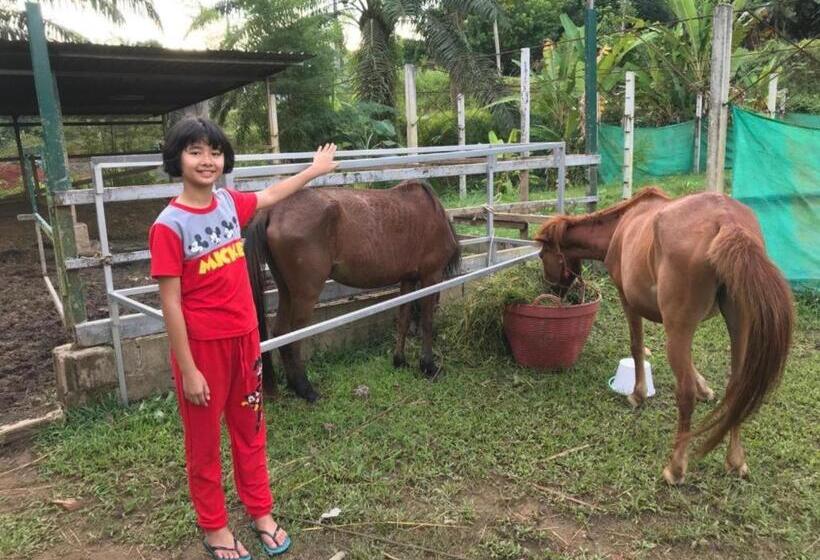 ホテル Phang Nga Farmstay