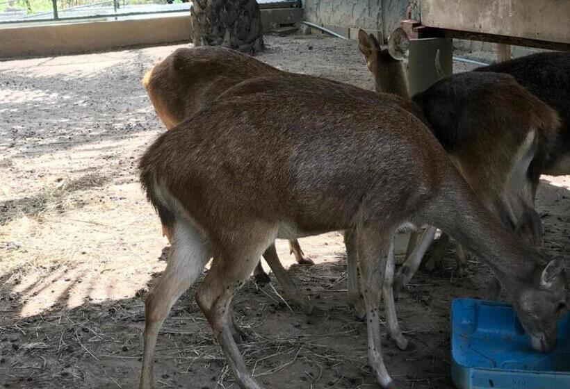 酒店 Phang Nga Farmstay