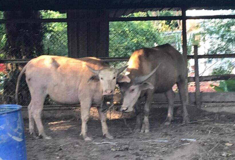 ホテル Phang Nga Farmstay