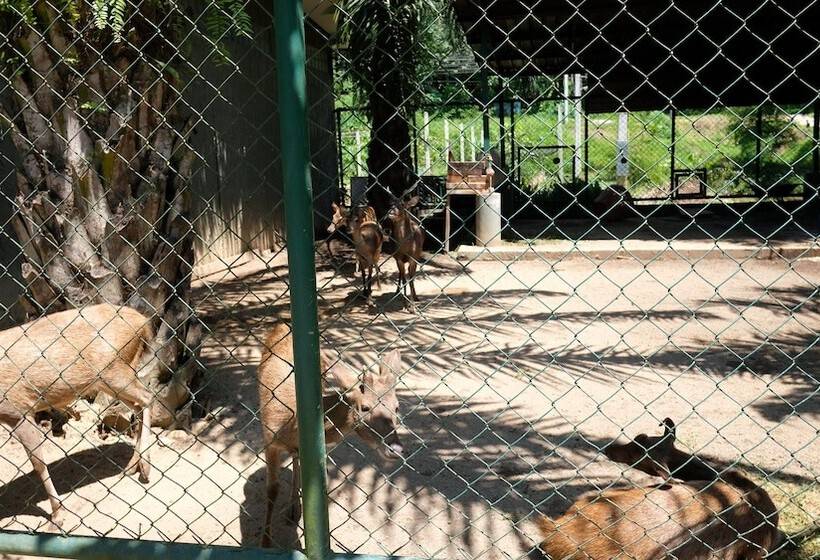 ホテル Phang Nga Farmstay