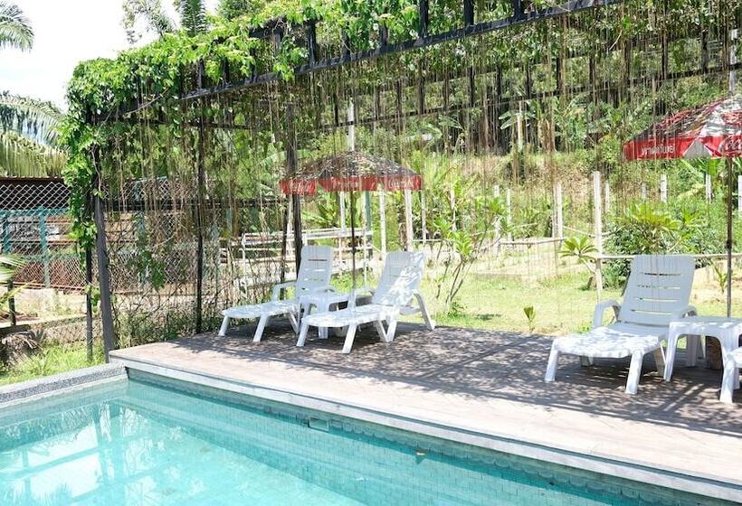 ホテル Phang Nga Farmstay