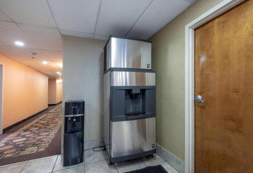 فندق Rodeway Inn