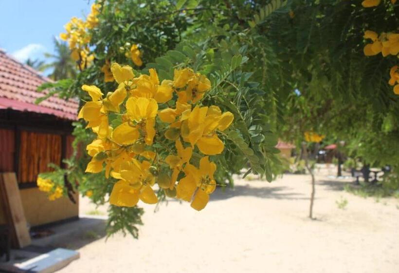 Отель Sea Waves Kite Surfing Beach Resort