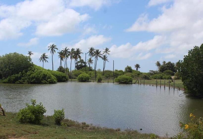 Отель Sea Waves Kite Surfing Beach Resort