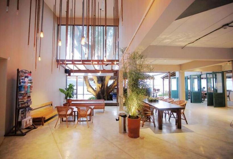 호텔 Tamarina Bed & Beyond