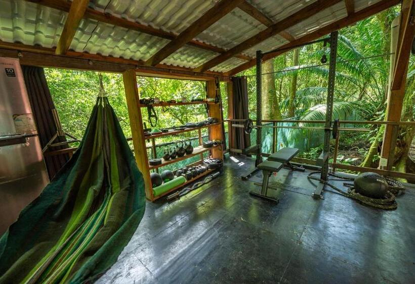 فندق The Monkey Bowl Boutique Skate