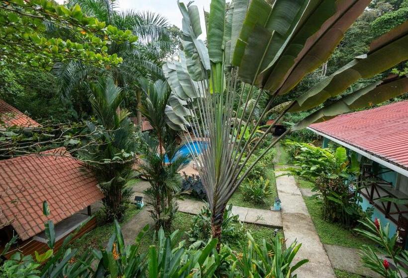 فندق The Monkey Bowl Boutique Skate