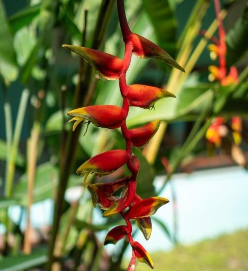 فندق The Monkey Bowl Boutique Skate