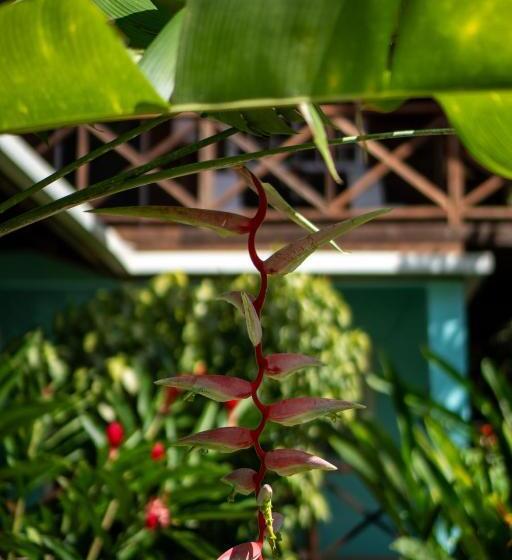 فندق The Monkey Bowl Boutique Skate