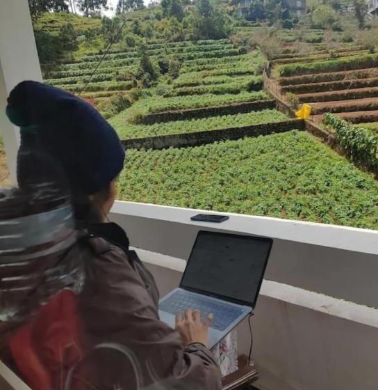 فندق Tree Elanza