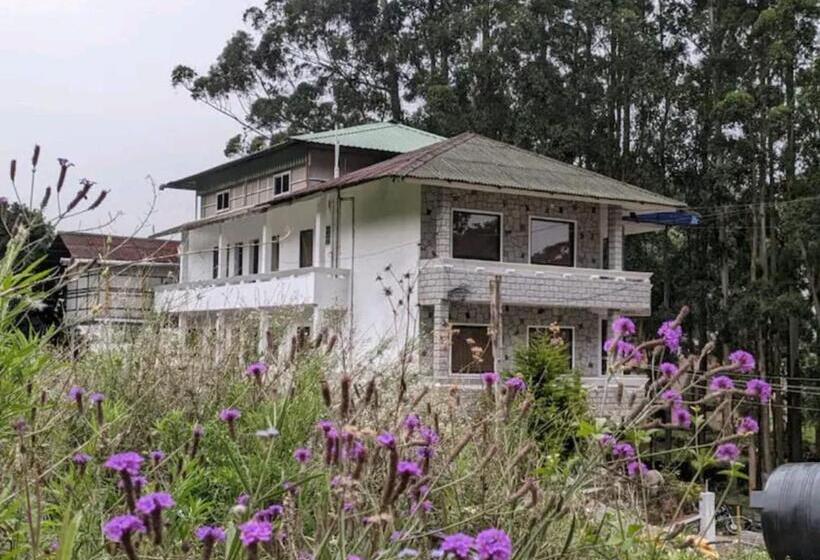 فندق Tree Elanza