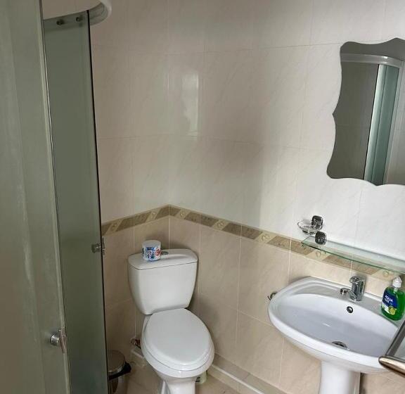 پانسیون любимый