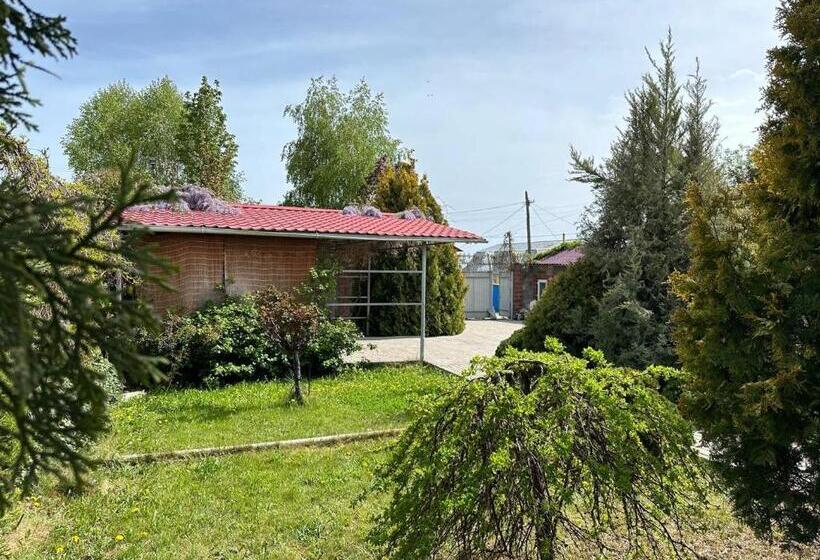 پانسیون любимый