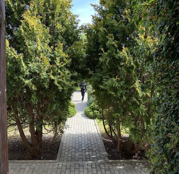 پانسیون любимый