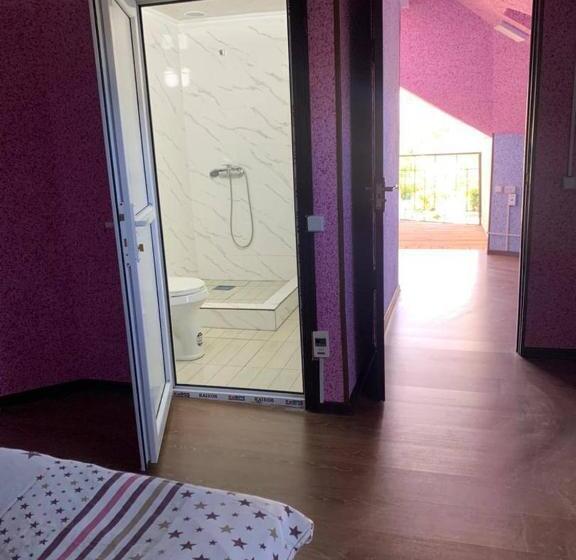 پانسیون айдана