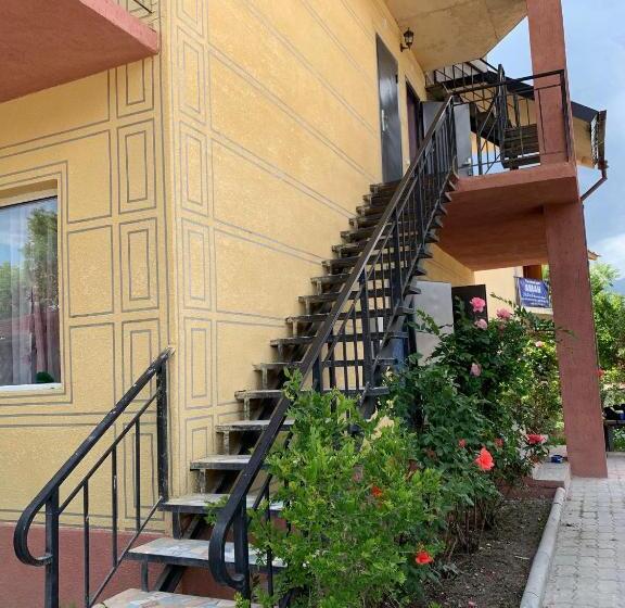 پانسیون айдана