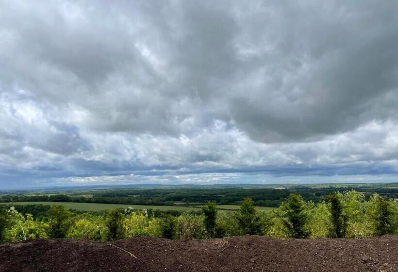 Пансион Animal Crossing