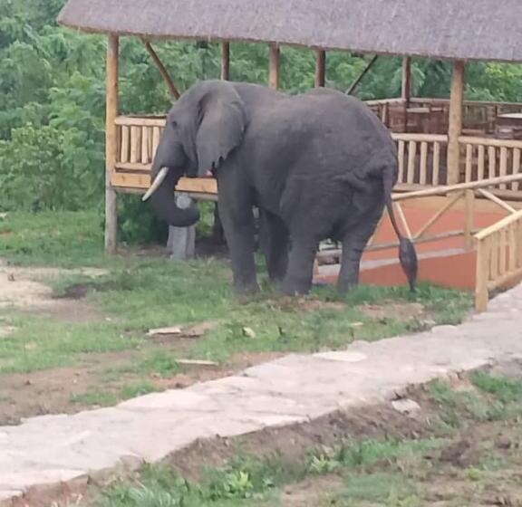 پانسیون Bulbul Safaris Lodge