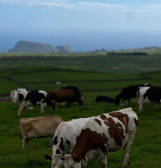膳宿费 Casa Dos Castanheiros Guesthouse Azores