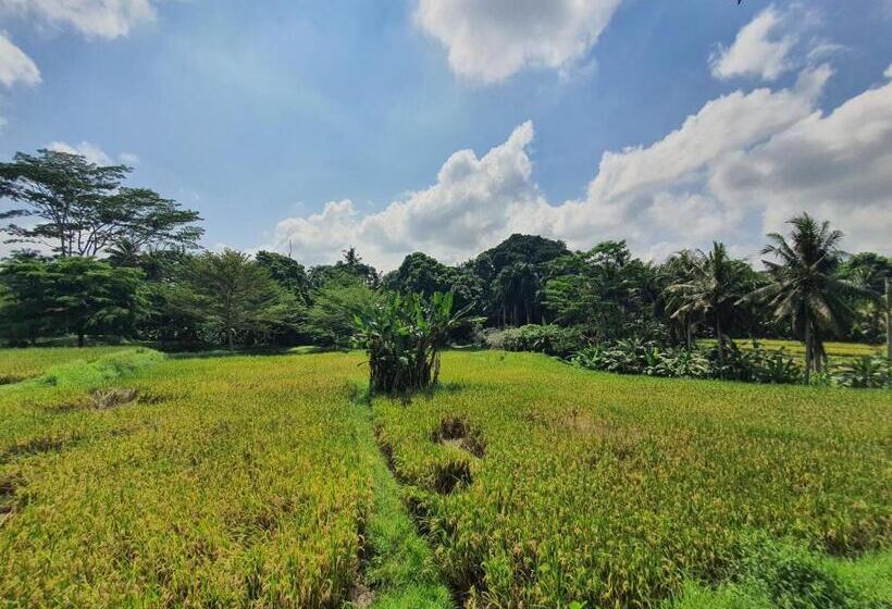 פנסיון Graha Shanti Guest House