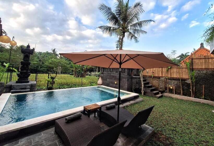 פנסיון Graha Shanti Guest House