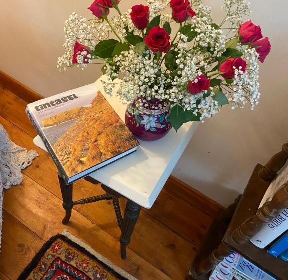 ペンション Hillside Launceston Cornwall