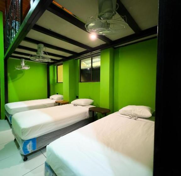 펜션 Madroño Hostel